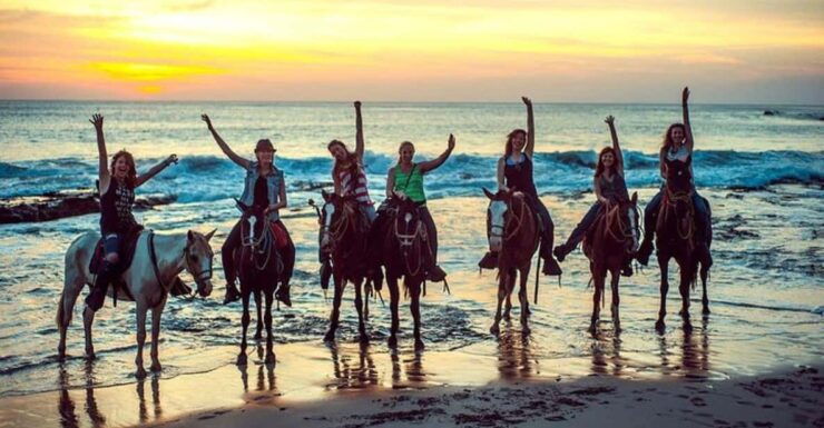 Acapulco: Horseback Riding and Baby Turtle Camp - Experience Highlights