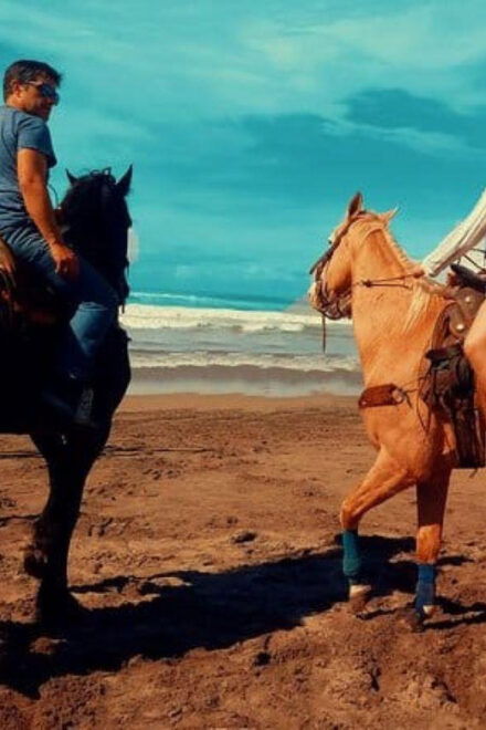 Acapulco: Horseback Riding and Baby Turtle Camp - Detailed Itinerary