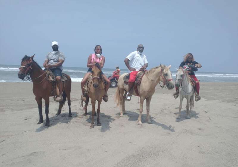 Acapulco: Horseback Riding, Turtle Camp, and Crocodile Tour - Exploring Acapulco: Horseback Riding, Turtle Camp, and Crocodile Sanctuary