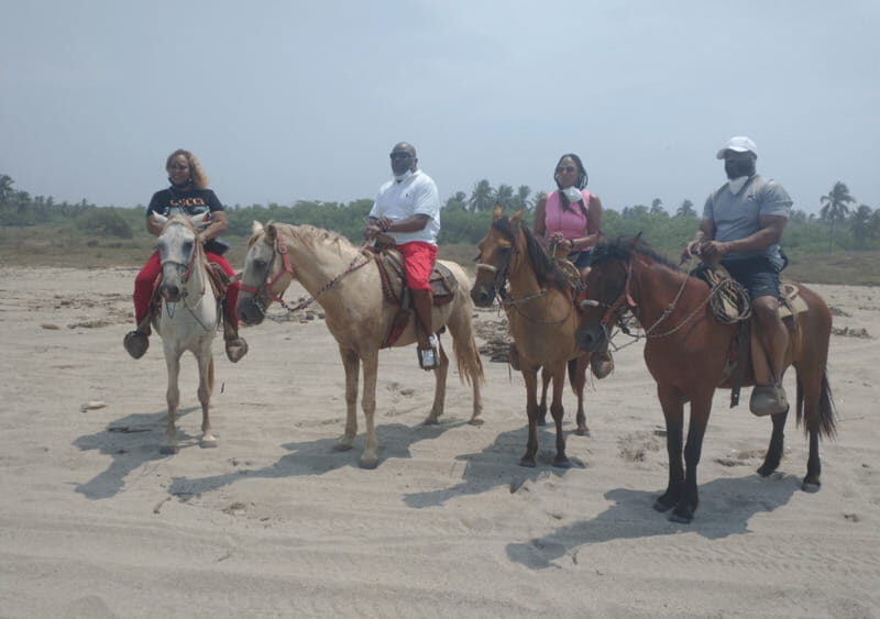 Acapulco: Horseback Riding, Turtle Camp, and Crocodile Tour - Why This Tour Offers Real Value