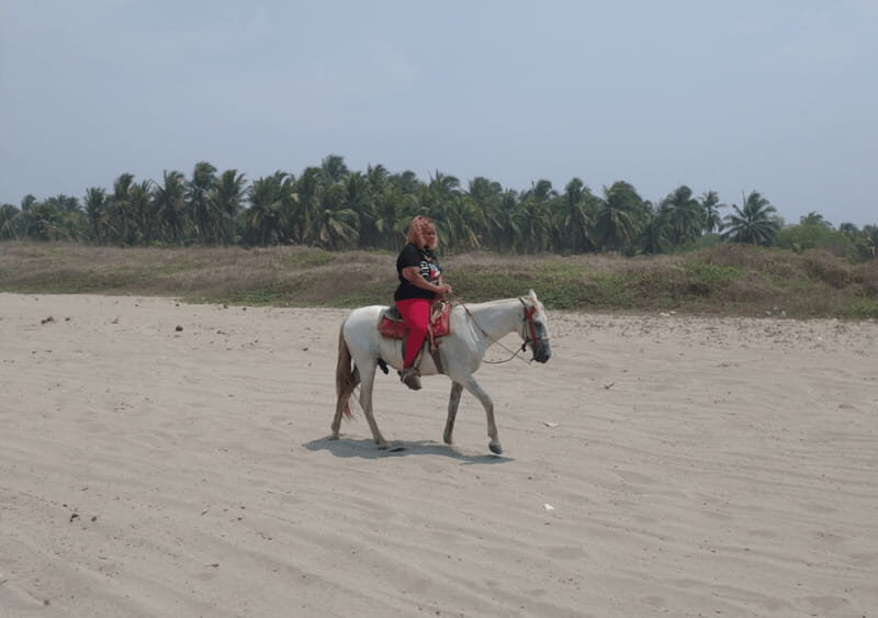 Acapulco: Horseback Riding, Turtle Camp, and Crocodile Tour - Final Thoughts