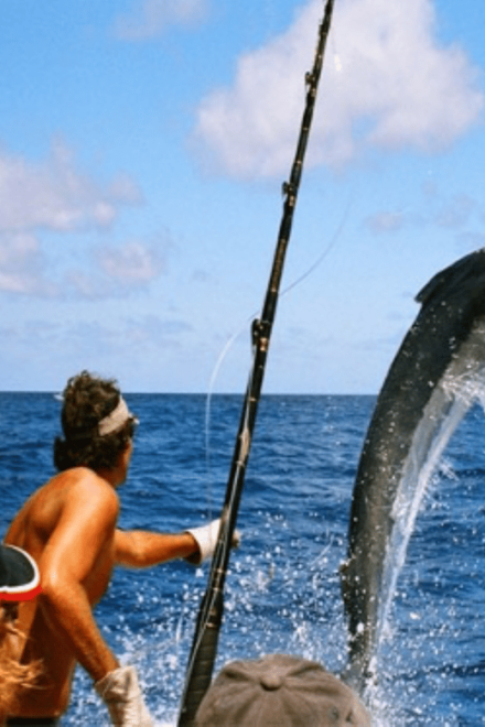 Acapulco: Private Fishing Experience - Fishing Experience