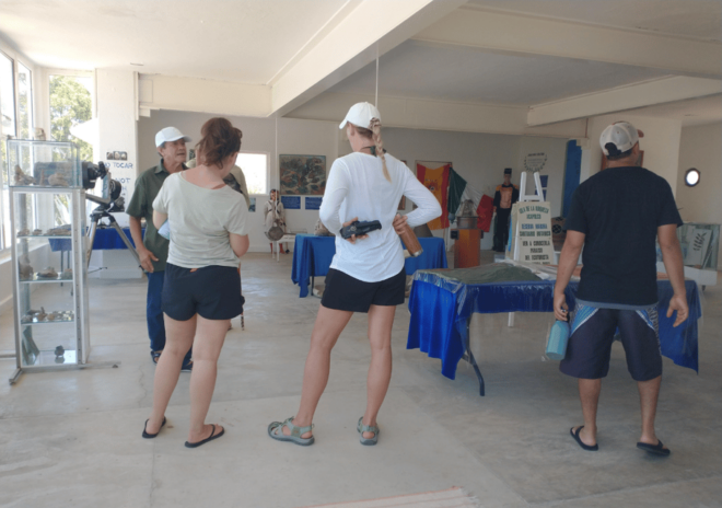 Acapulco: Roqueta Island Adventure - Boat Tour and Glass-bottom Yacht