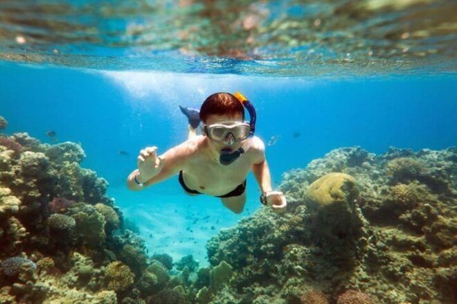 Acapulco: Snorkeling - Pickup and Transfer