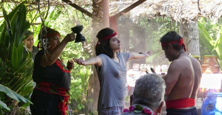 .Acapulco: Temazcal, Lagoon Tour, Market Visit, and Lunch. - Lagoon Tour Exploration