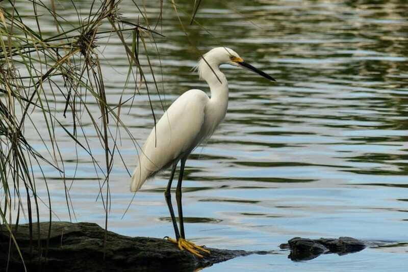 -Acapulco:3 Palos Lagoon Boat Ride& Crocodile Farm Exprience - FAQ