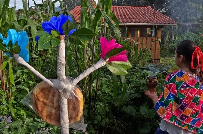 Acaxochitlán Local Community and Traditions Tour from Mexico - FAQ