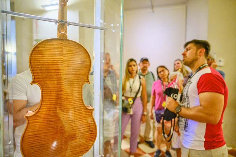 Accademia Gallery Guided Tour - A guide adds shape to a compact collection