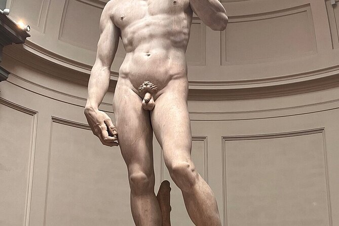 Accademia Gallery Tour With Expert Guide - Accessibility Details