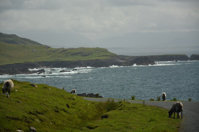 Achill Island From/To Dublin Airport/ City Private Chauffeur Transfer Services - Bottled Water and Air-conditioned Vehicle