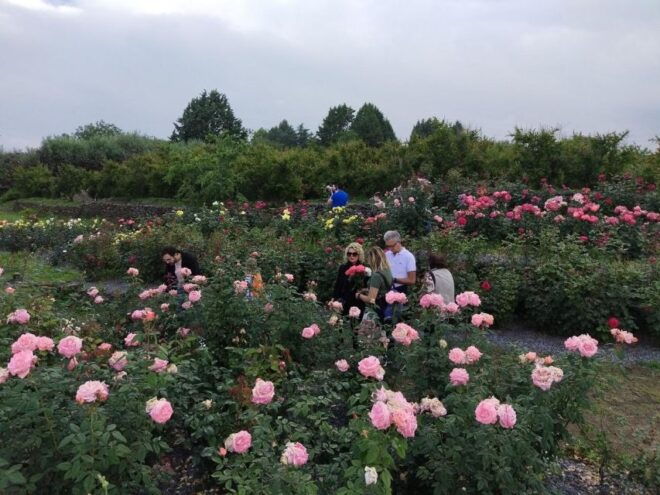 Acireale: Baroque Walking and Wine Tasting at the Batia - Cancellation Policy