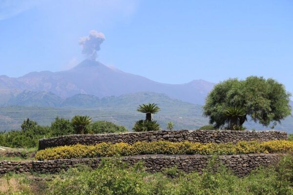 Acireale: Baroque Walking and Wine Tasting at the Batia - Meeting Point