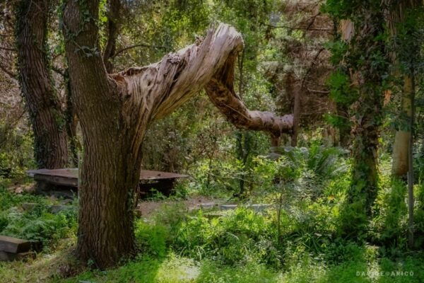 Acireale: Baroque Walking and Wine Tasting at the Batia - Additional Information