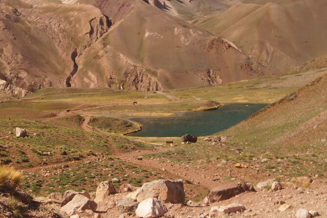 Aconcagua Short Hike, and High Mountain Tour With Barbecue. - Itinerary Highlights