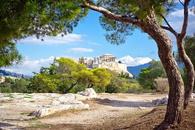 Acropolis Private Guided Tour - Flexible and Personalized Tour Experience