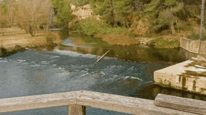 Active Bike Tour: River Turia Natural Park. - Additional Options