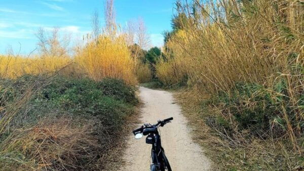 Active Bike Tour: River Turia Natural Park. - The Sum Up