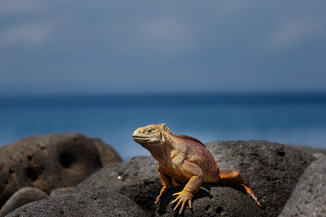 Active Galapagos Island Tour 10 Days - Tour Itinerary Overview