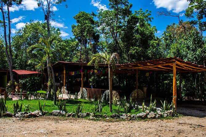 Activities Atv (Shared) Zipline and Cenote Only From Playa Del Carmen - Reviews and Tips