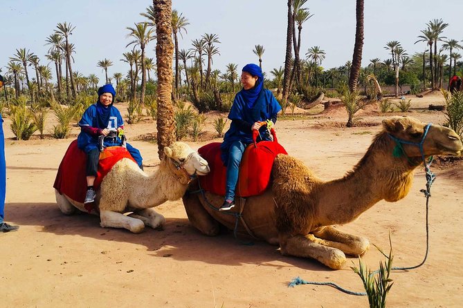 Activities in Marrakech: Camel Ride Tour - Traveler Engagement