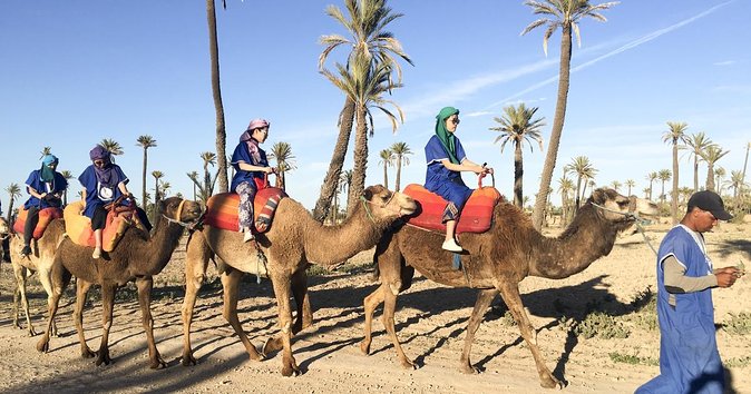 Activities in Marrakech: Camel Ride Tour - Reviews Overview