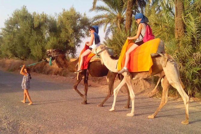 Activities in Marrakech Camel Ride Tour in Palm Grove - Hotel Pick-Up and Transportation