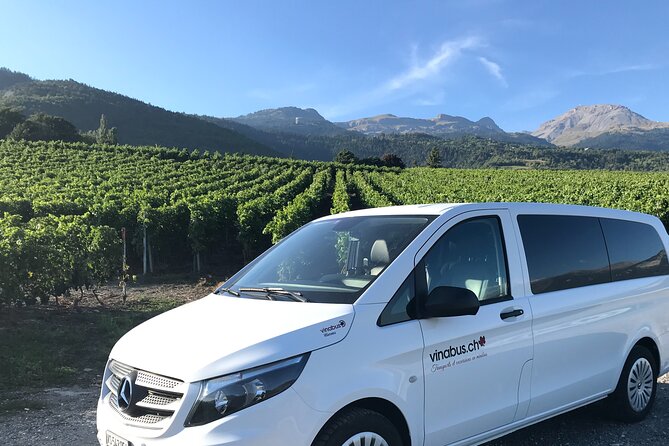Activity in Private Minibus, Wine Tasting in Valais - Meeting and Pickup