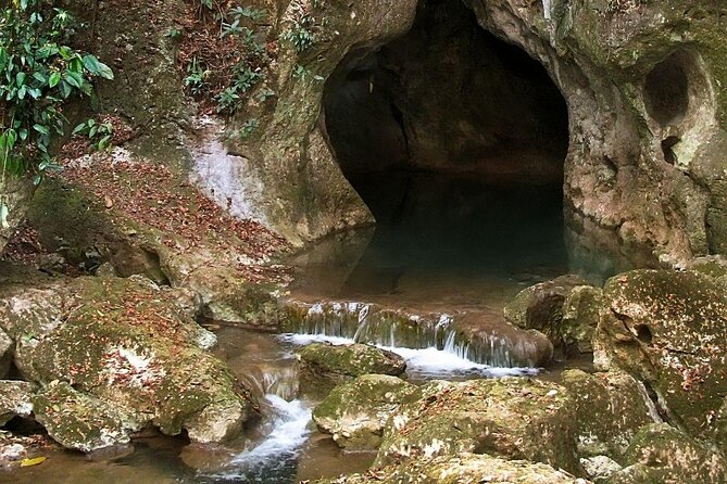 Actun Tunichil Muknal Caving Adventure From Placencia - Experience Details