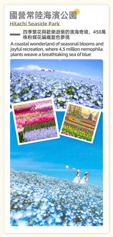 Adachi Flower Garden Night Wisteria & Ibaraki Nemophila Flower Sea Day Trip - The pace, the bus and the guide