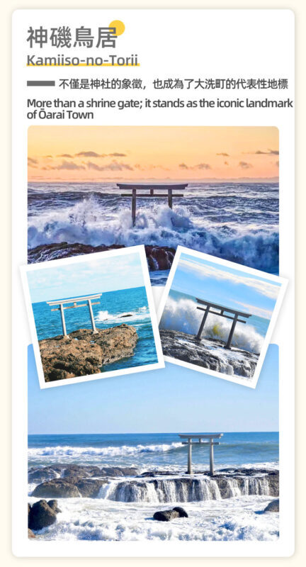 Adachi Flower Garden Night Wisteria & Ibaraki Nemophila Flower Sea Day Trip - What the price covers, and what it does not
