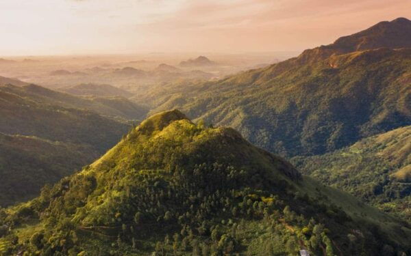 Adam's Peak: Overnight Trek via Peak Wilderness Sanctuary - The Sum Up