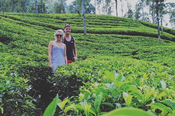 Adams Peak (Sri Pada) Waterfalls Tour - Travel Tips and Recommendations