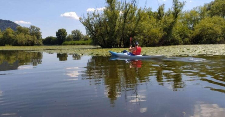 Adda River: Half Day Kayak Trip - Activity Details