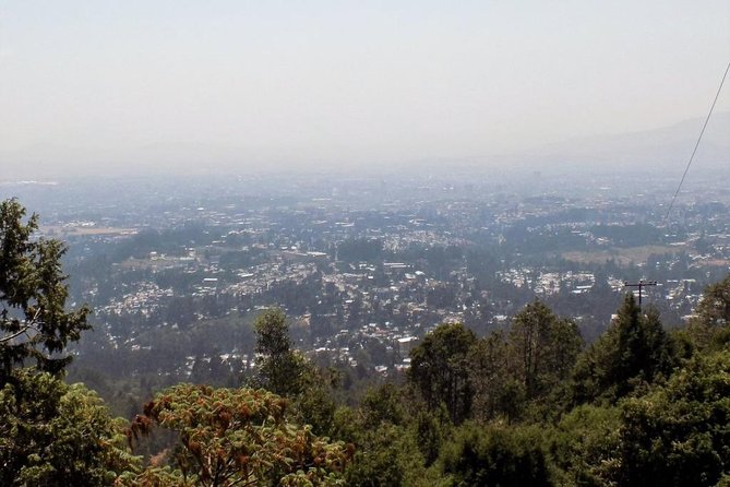 Addis Ababa City Tour - Tour Details