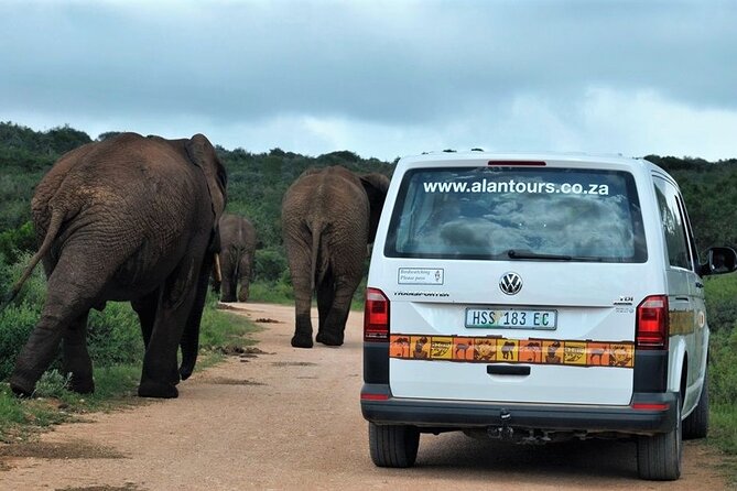Addo Elephant National Park From Port Elizabeth - FD01 - Common Questions