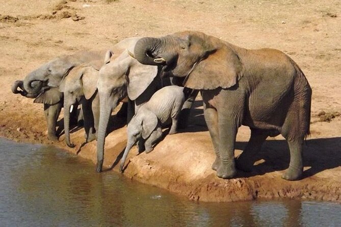 Addo Elephant National Park - HD01 - Directions