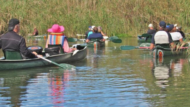 Addo River Safari - Guided Tour in Canoes - Description