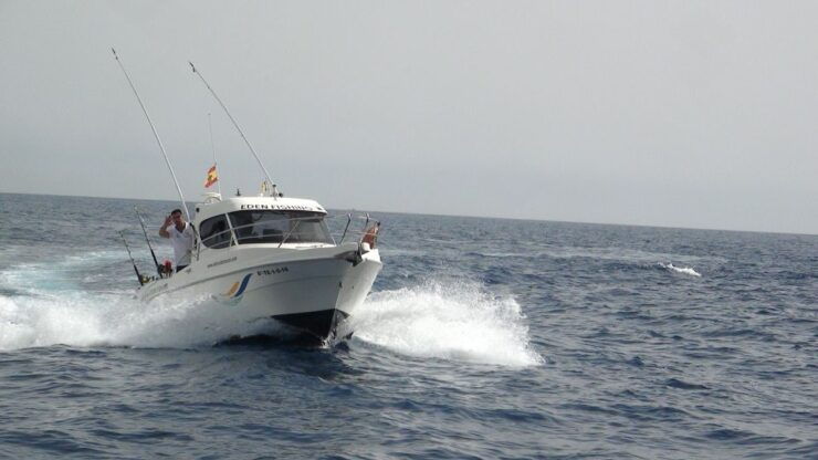 Adeje: 3.5–Hour Professional Fishing Experience - Activity Details