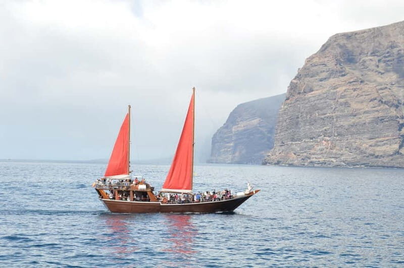 Adeje Classic Schooner: Whales, Lunch & Los Gigantes Cliffs - Who is This Tour Best For?
