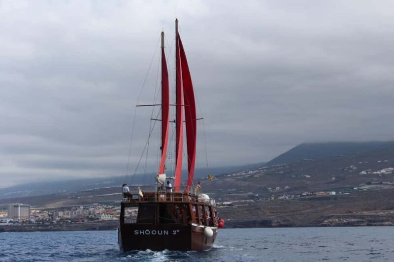 Adeje Classic Schooner: Whales, Lunch & Los Gigantes Cliffs - FAQ