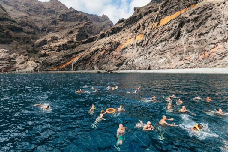 Adeje: Whale and Dolphin Watching Cruise With Lunch and Swim - Inclusions and Accessibility