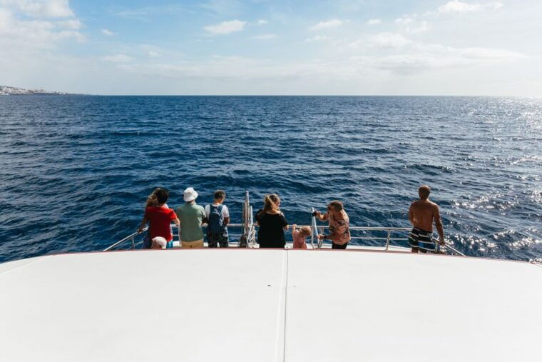 Adeje: Whale and Dolphin Watching Cruise With Lunch and Swim - Customer Reviews and Recommendations