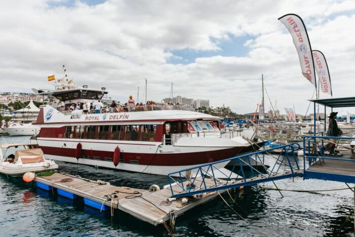 Adeje: Whale and Dolphin Watching Cruise With Lunch and Swim - Booking and Reservation Process