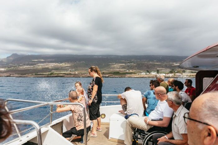 Adeje: Whale and Dolphin Watching Cruise With Lunch and Swim - Getting to the Cruise Location