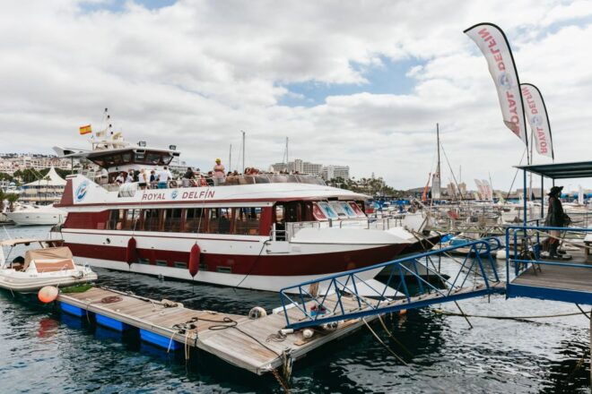 Adeje: Whale and Dolphin Watching With Lunch and Swimming - Additional Information