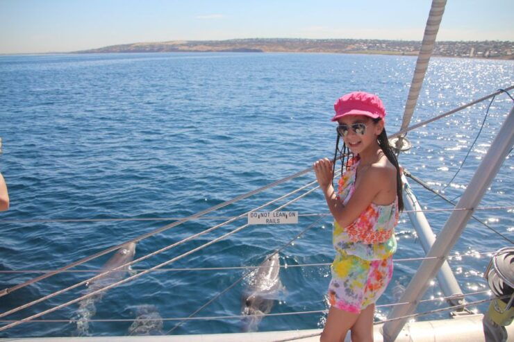 Adelaide: 3.5-Hour Guaranteed Wild Dolphin Watching Cruise - Experience