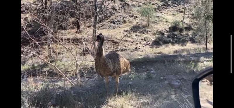 Adelaide: 3-Day 4WD Flinders Ranges and Clare Valley Tour - Final Reflection