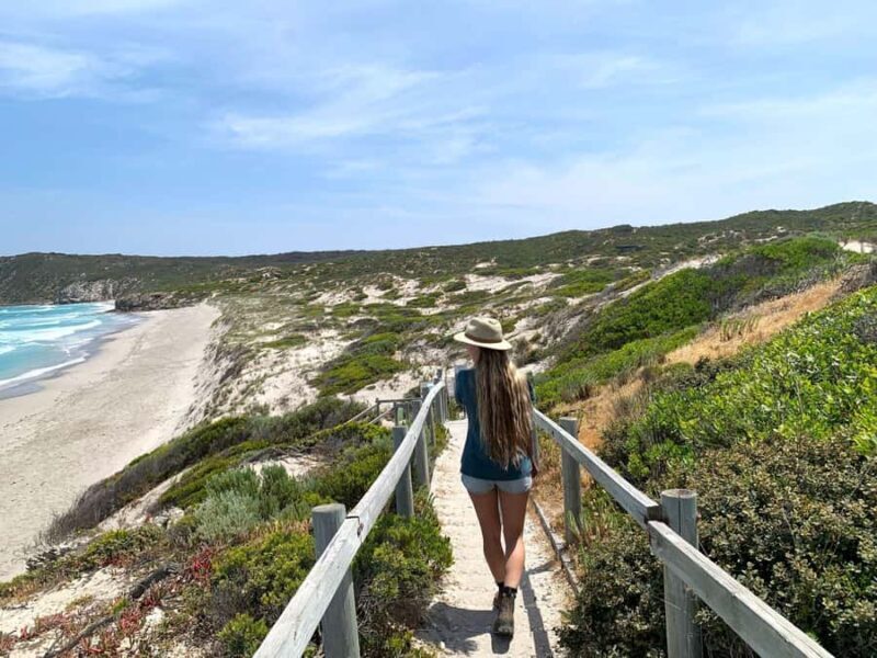 Adelaide: 3-Day Kangaroo Island Adventure Tour with Camping - What Makes This Tour Special?