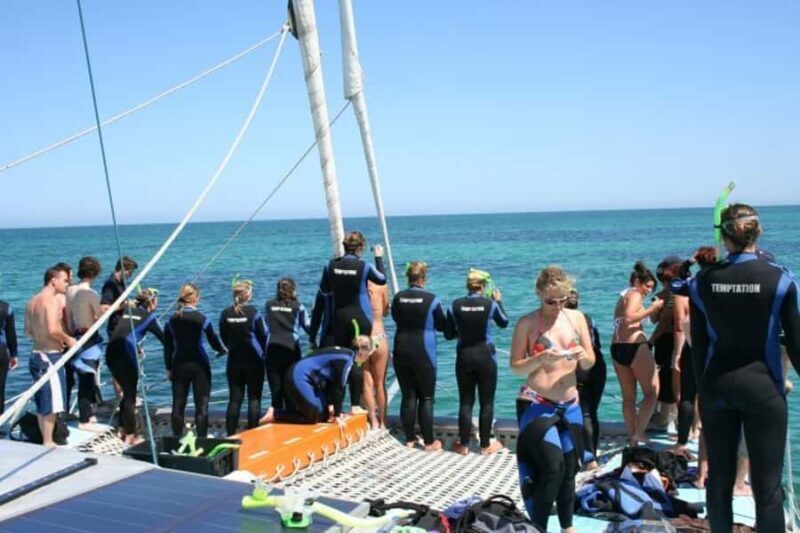 Adelaide: 4-Hour Swimming with Dolphins Experience - Why this tour is worth considering