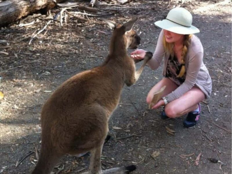 Adelaide: Barossa Day Out: Wines, Brewery, Chocolate & Lunch - The Sum Up